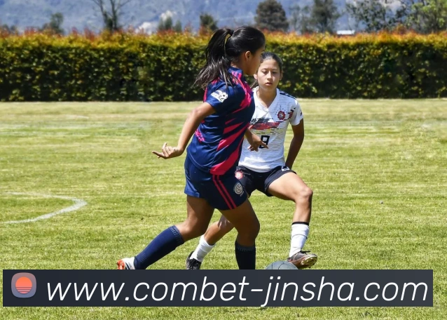 金沙国际发展历程